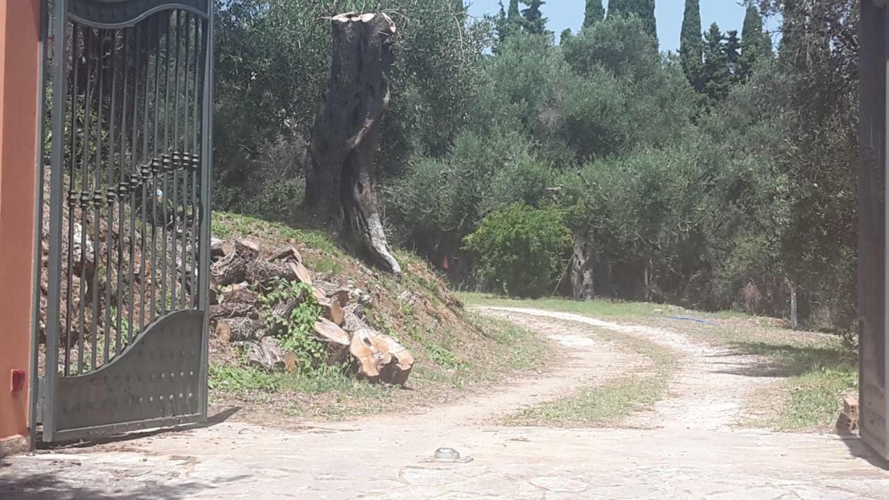 شقة Bella Vista Kato Korakiana المظهر الخارجي الصورة